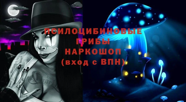 индика Заводоуковск