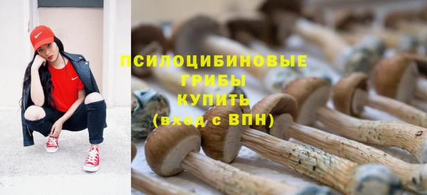 индика Заводоуковск