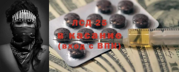 индика Заводоуковск