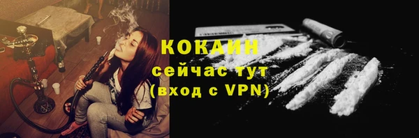 индика Заводоуковск