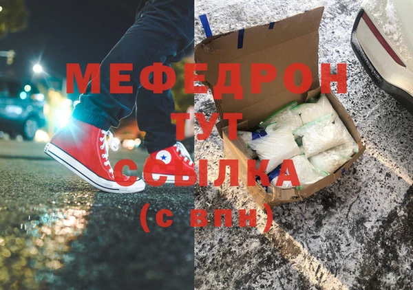 индика Заводоуковск