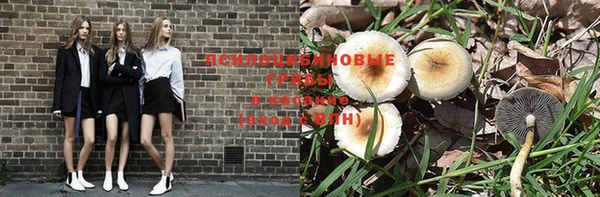 индика Заводоуковск
