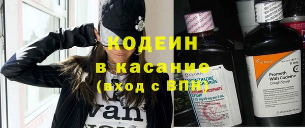 индика Заводоуковск