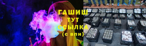 индика Заводоуковск