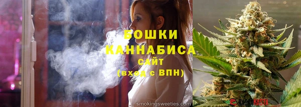 индика Заводоуковск