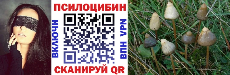 Псилоцибиновые грибы MAGIC MUSHROOMS  даркнет официальный сайт  Южно-Сахалинск 
